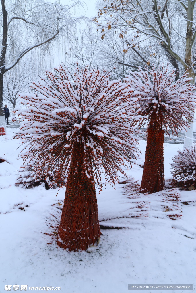 冬雪地景