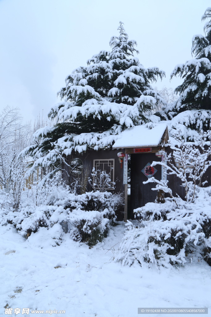 冬雪地景