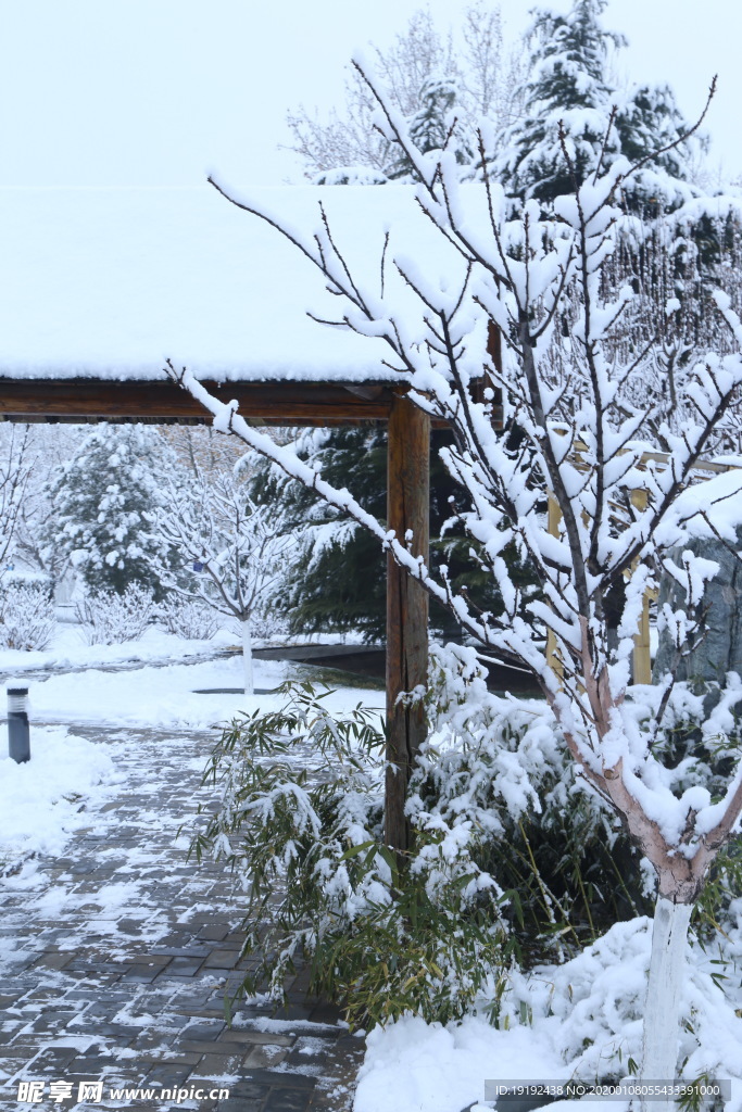 冬雪地景