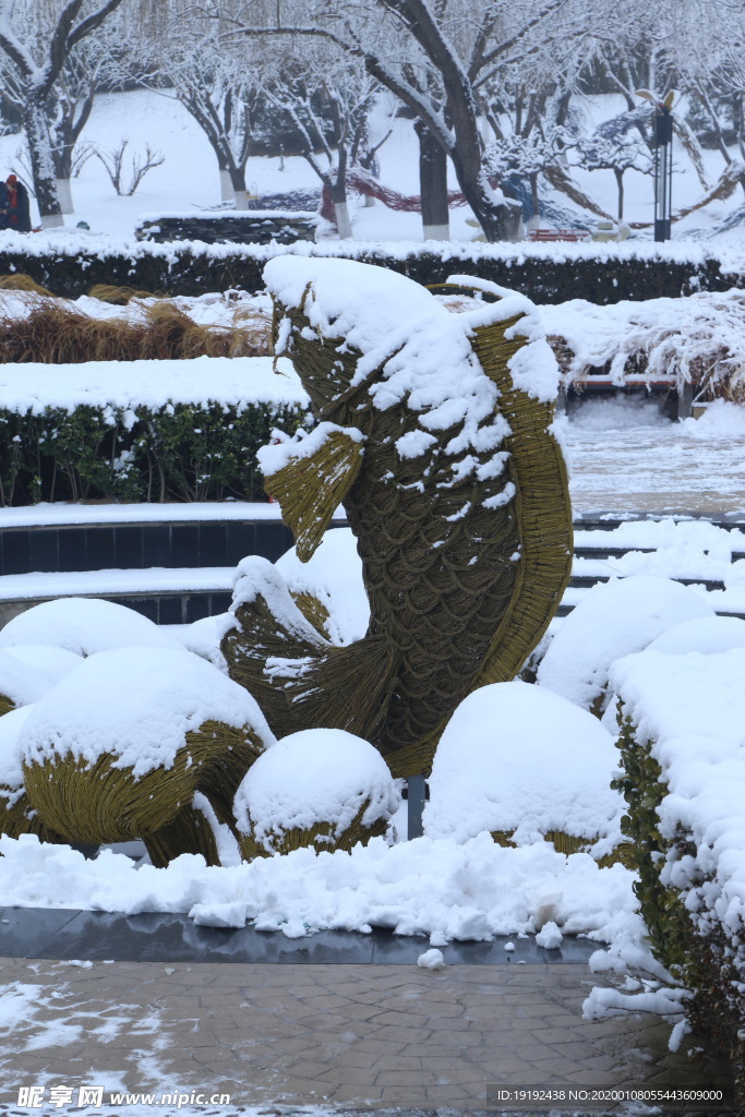 冬雪地景