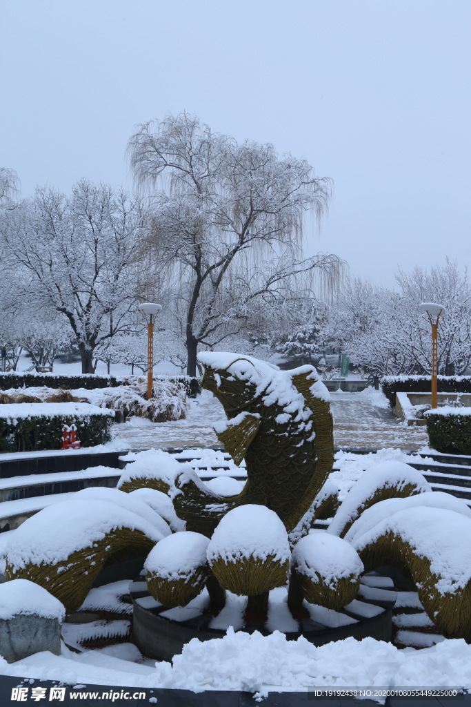 冬雪地景