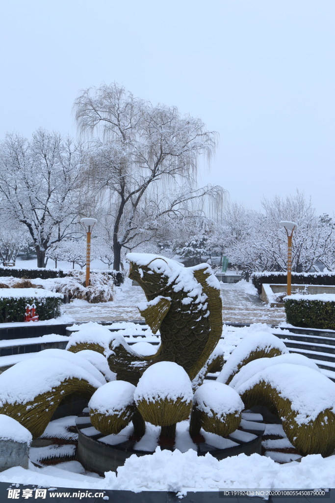 冬雪地景