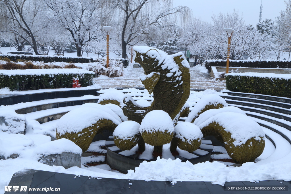 冬雪地景