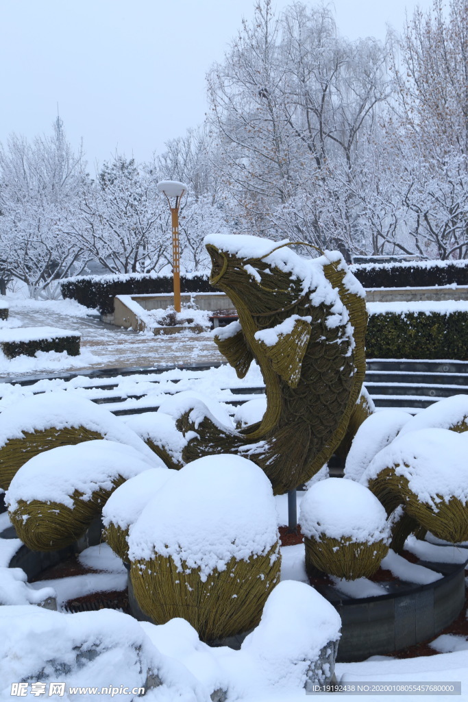 冬雪地景