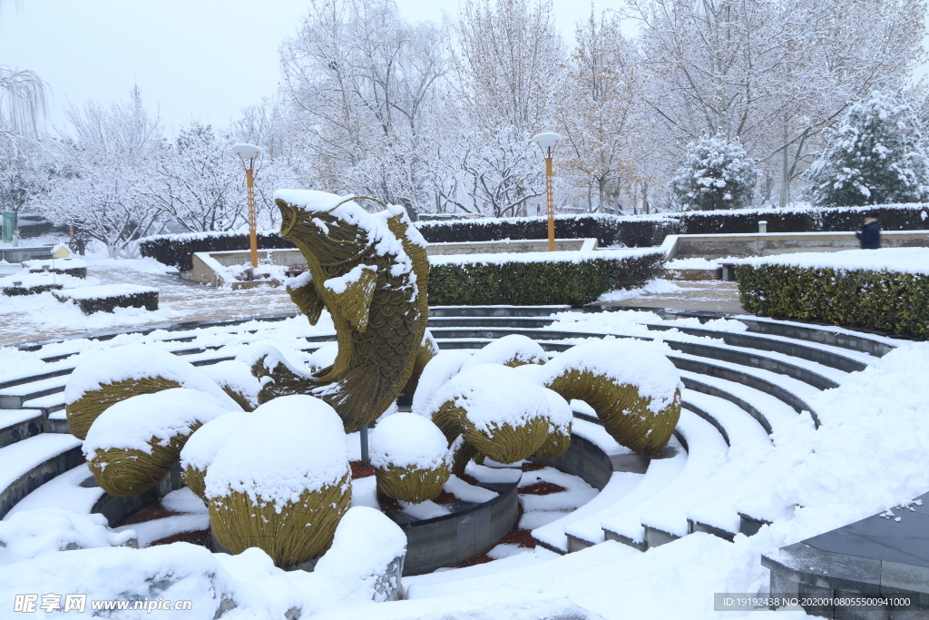 冬雪地景