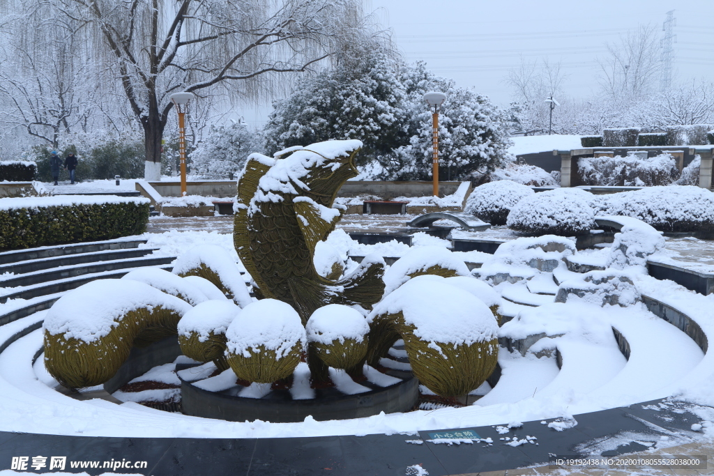 冬雪地景