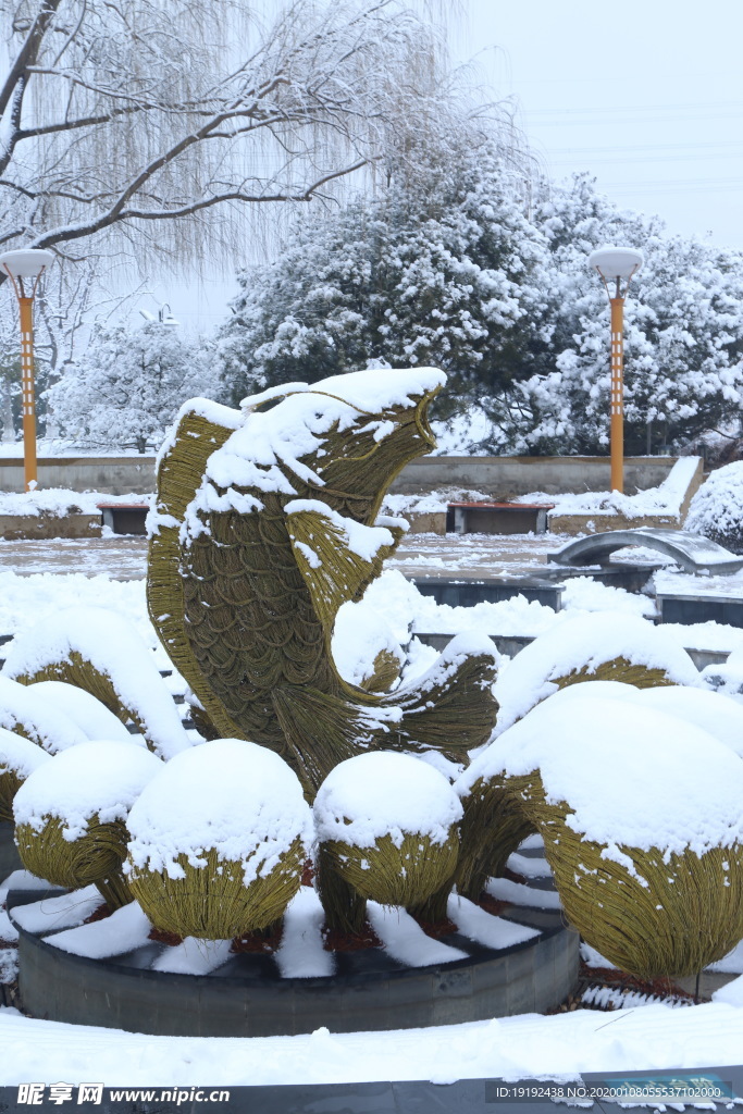 冬雪地景