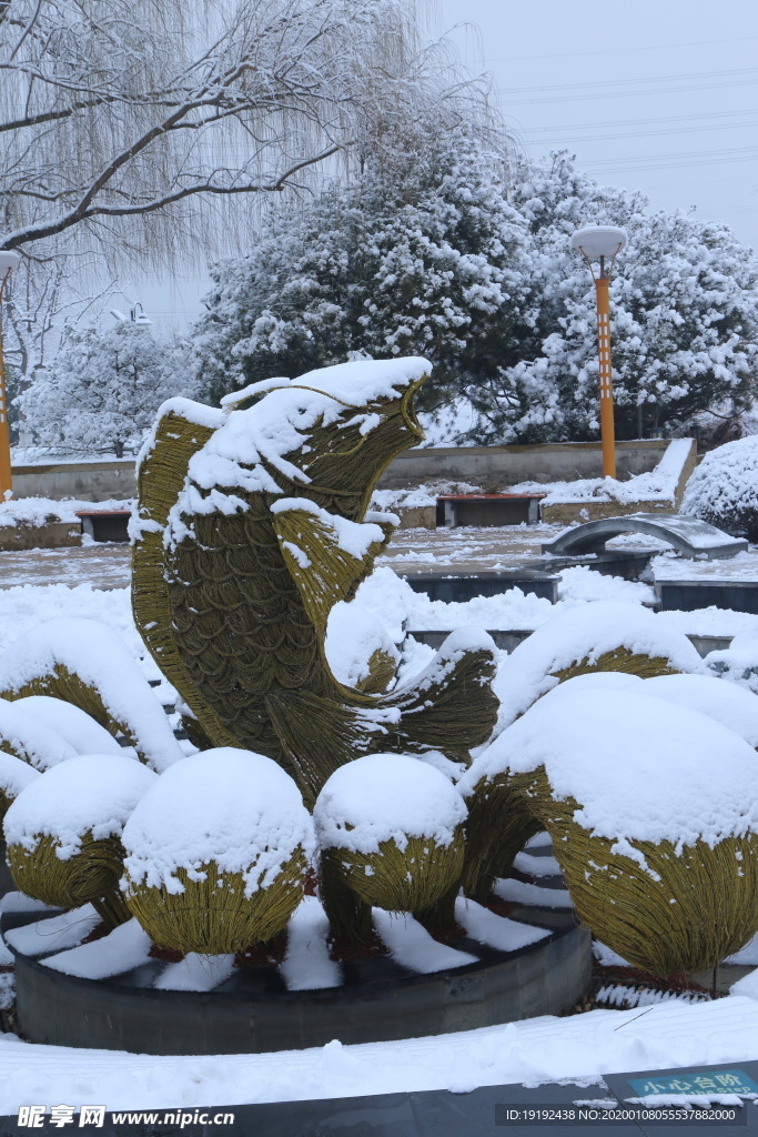 冬雪地景