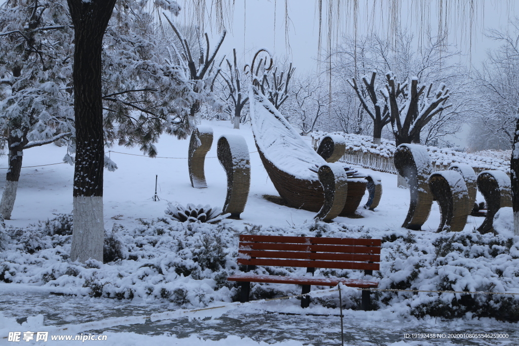 冬雪地景