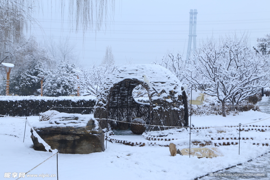 冬雪地景