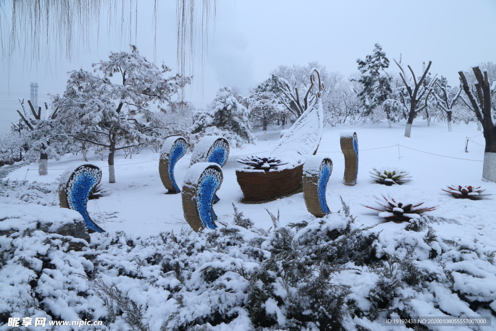 冬雪地景