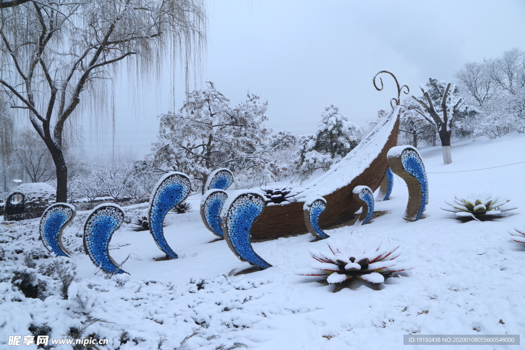 冬雪地景