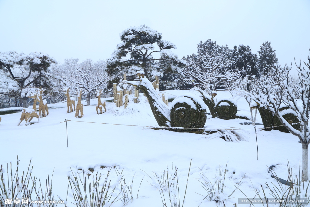 冬雪地景