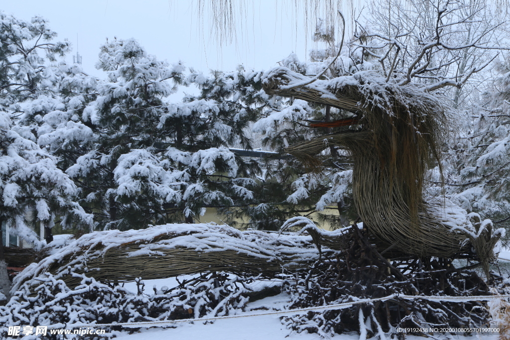 冬雪地景