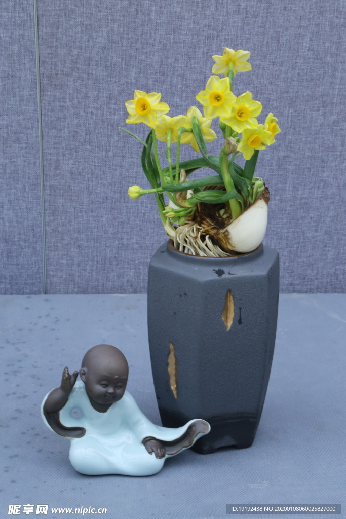 水仙花