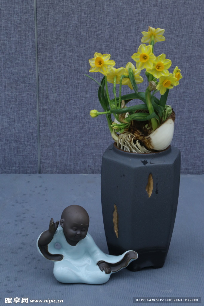 水仙花
