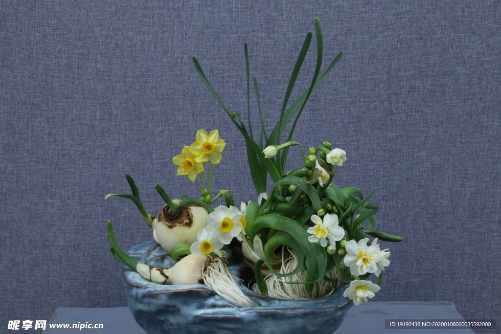 水仙花