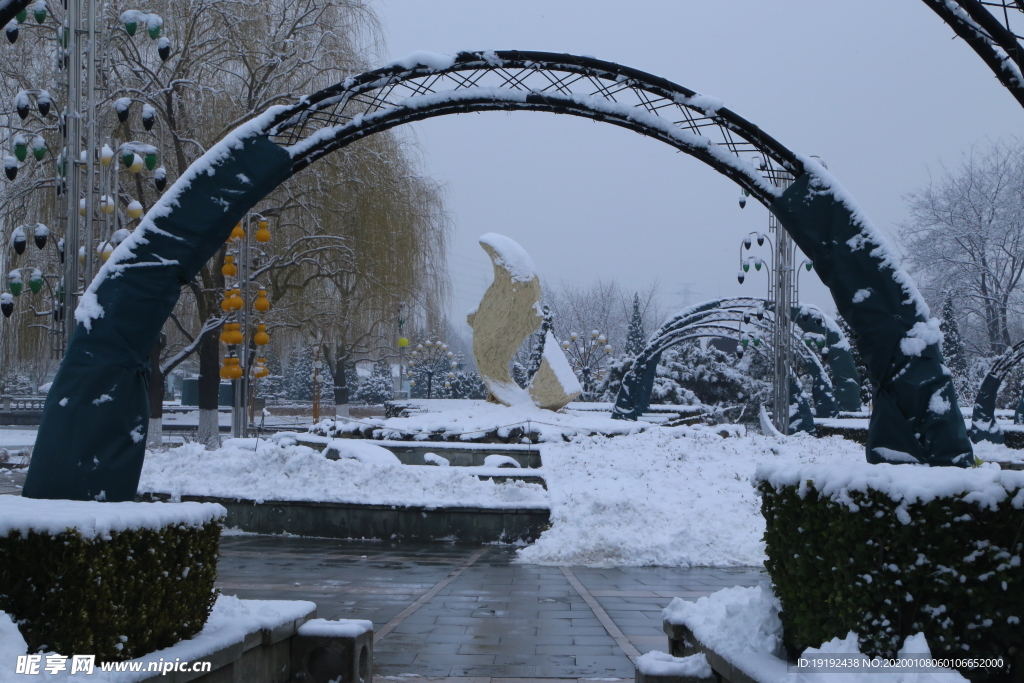 冬雪地景