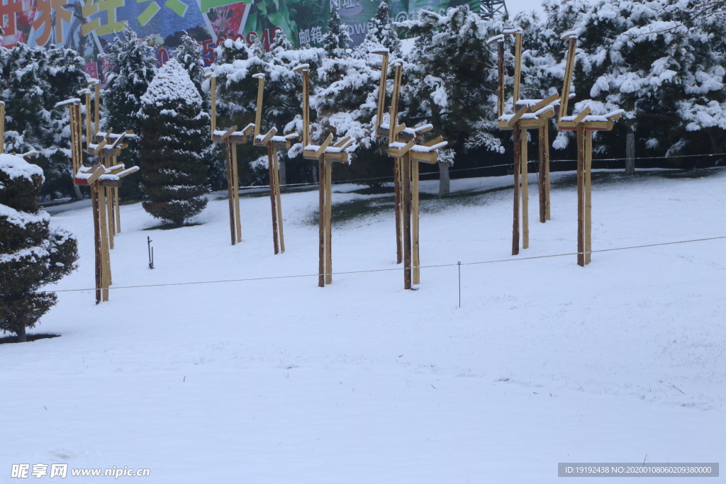 冬雪地景