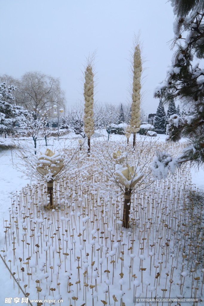 冬雪地景