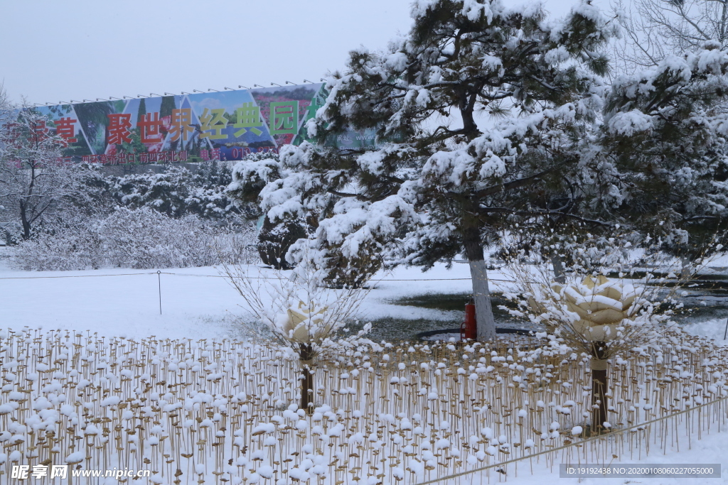 冬雪地景