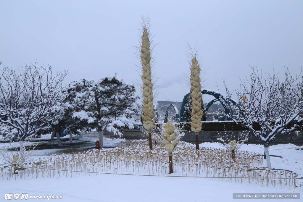 冬雪地景