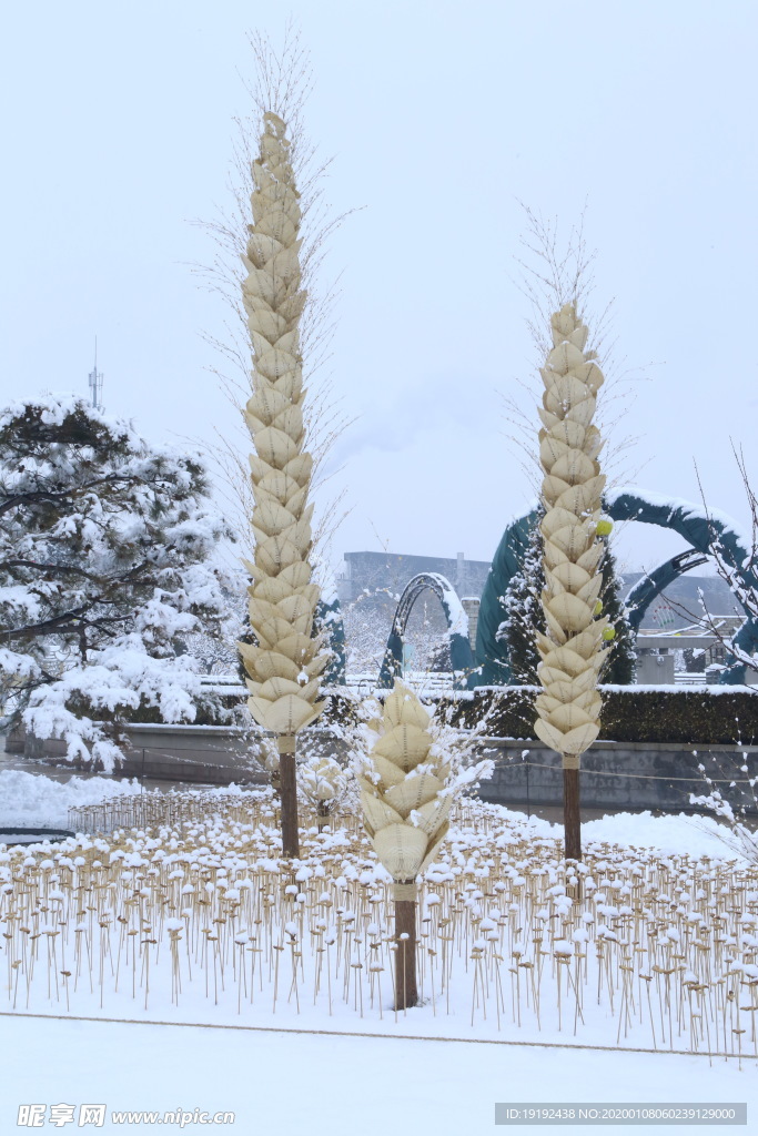 冬雪地景