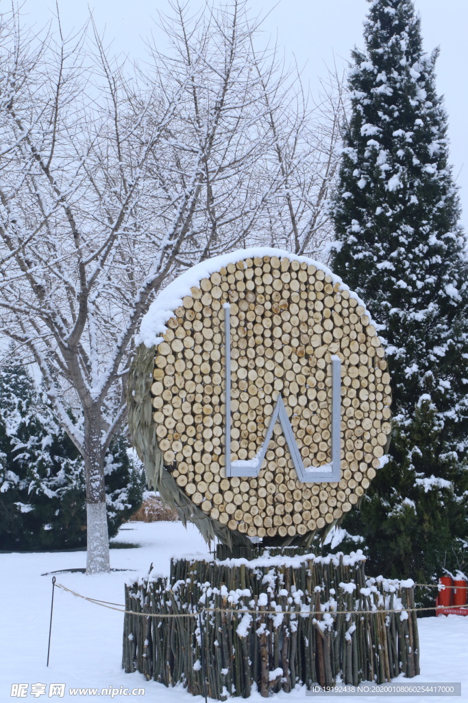 冬雪地景