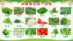 新鲜蔬菜