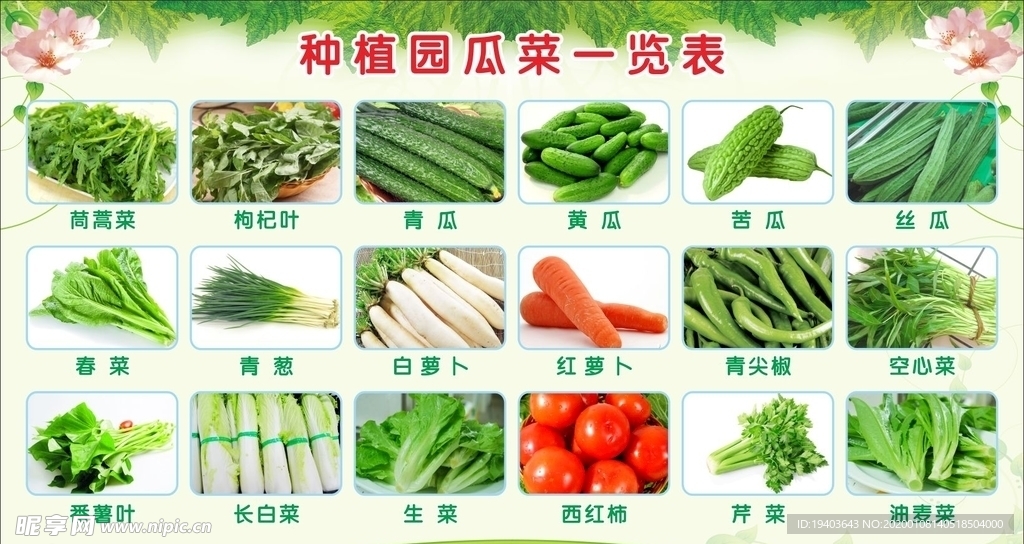 新鲜蔬菜