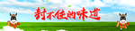 驴