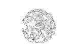 中国古典花纹 矢