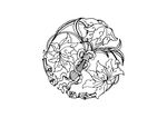 中国古典花纹