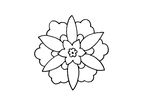 中国古典花纹