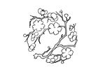中国古典花纹