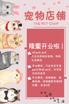 狗粮海报