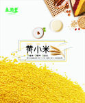 黄小米 小黄米  小米
