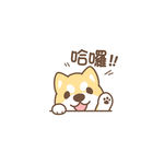 卡通动物