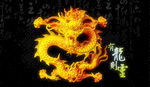 鱼缸背景 中国龙 文化 贴图