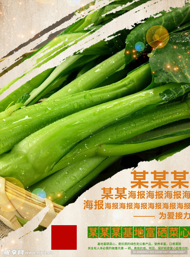 基地富硒菜心