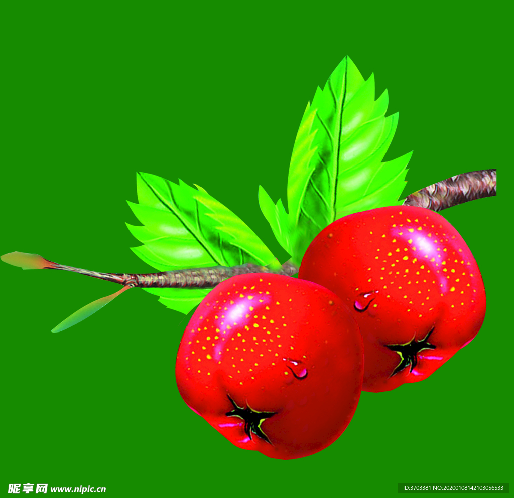 山楂