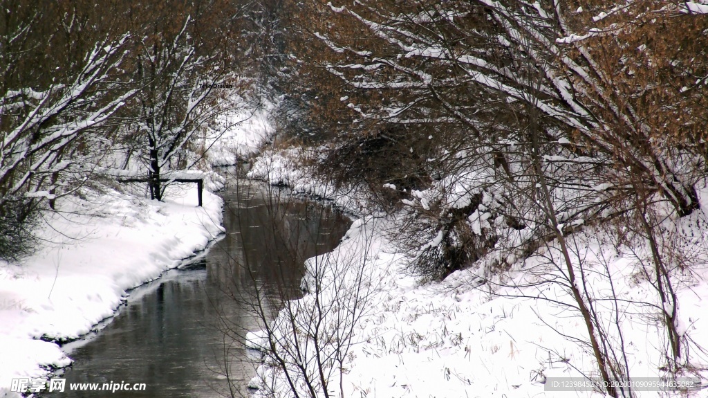 冬季雪景摄影美图