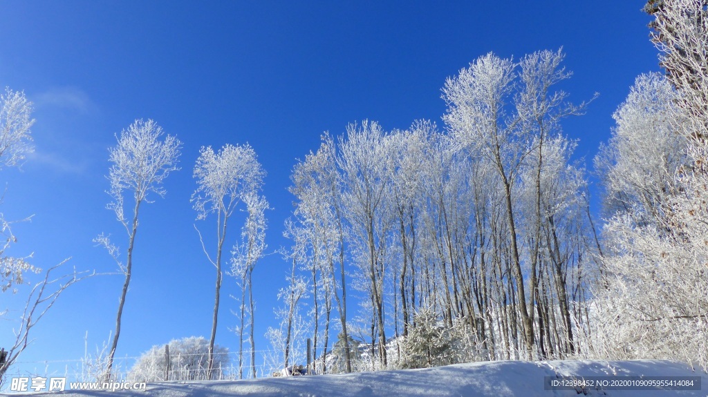 冬季雪景摄影美图