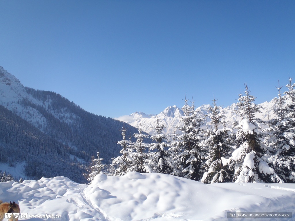 冬季雪景摄影美图