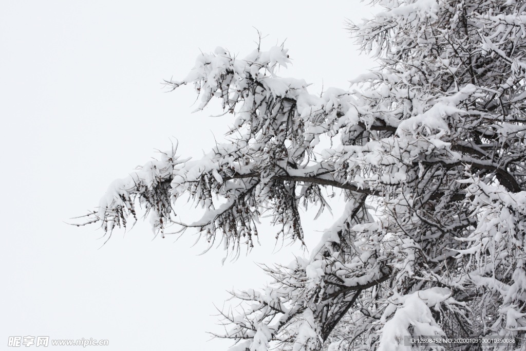 冬季雪景摄影美图