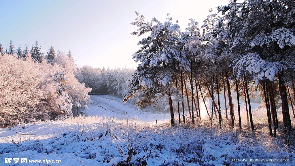 冬季雪景摄影美图