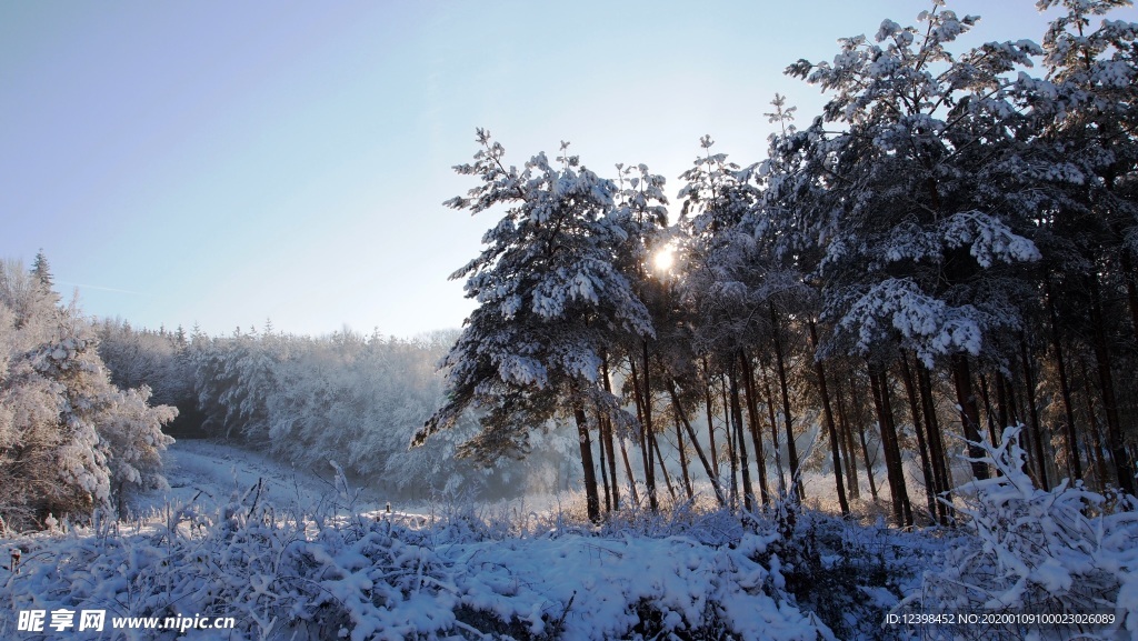 冬季雪景摄影美图