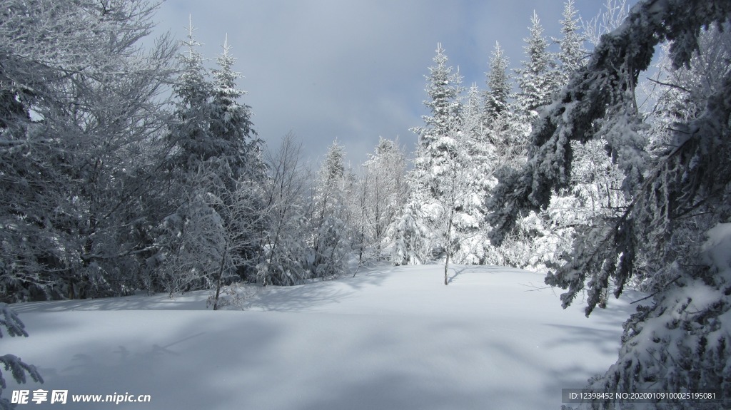 冬季雪景摄影美图