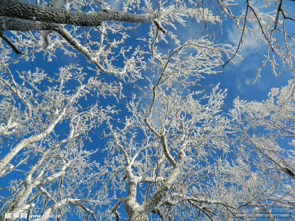 冬季雪景摄影美图