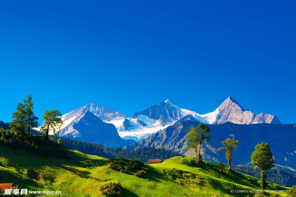 阿尔卑斯山美景